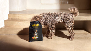 <p>Exclusive Grain Free Dog</p>