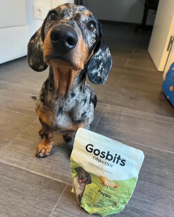 Productos Gosbits con perro