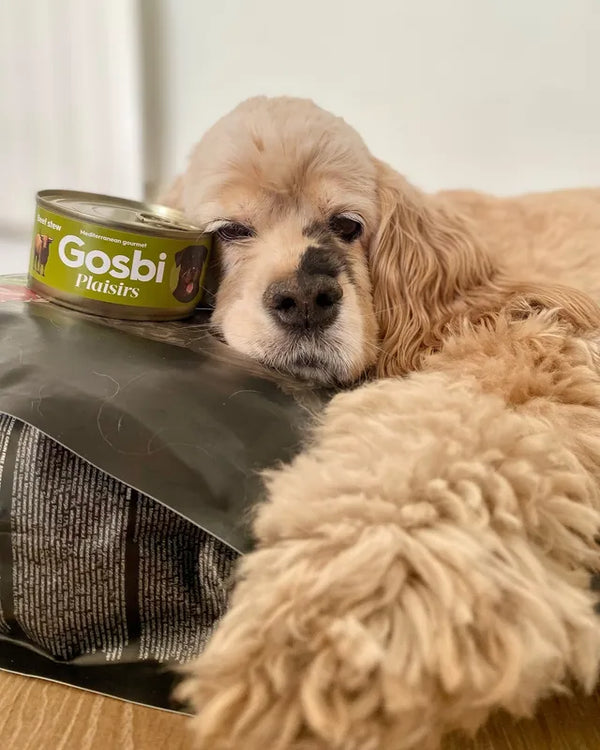 Perro con producto Gosbits