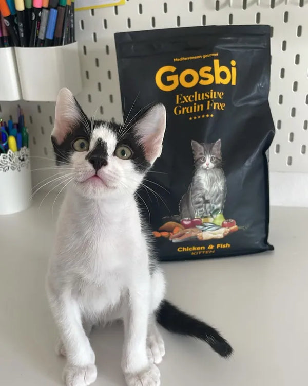 Perro con productos Gosbi