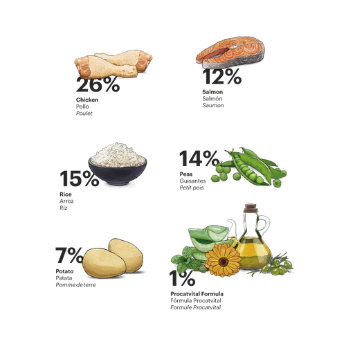 Exclusive Cat Sterilized Chicken with Salmon - foto 2