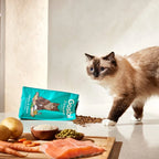 Exclusive Cat Sterilized Chicken with Salmon - foto 3