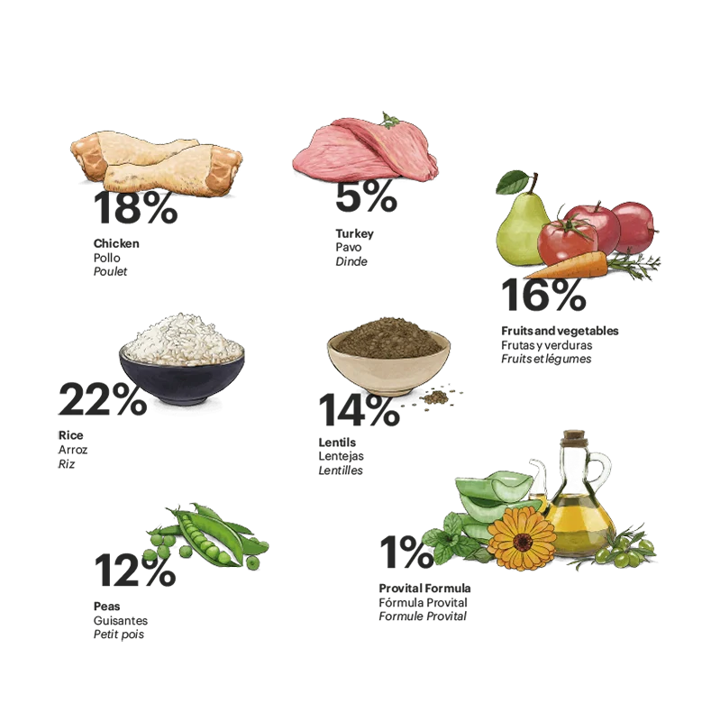 Exclusive Dog Adult Medium Diet - foto 2