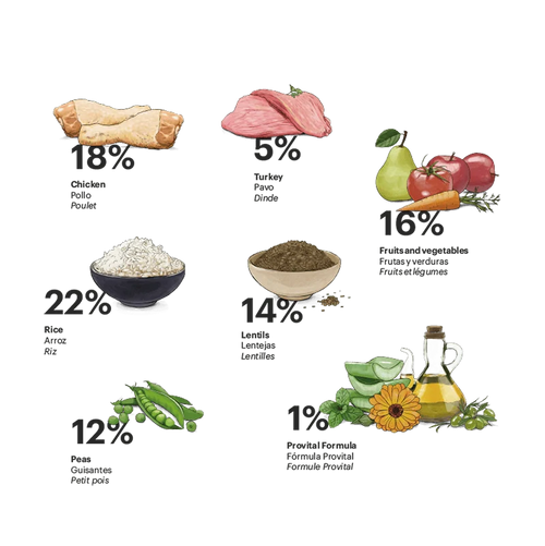 Exclusive Dog Adult Medium Diet - foto 2