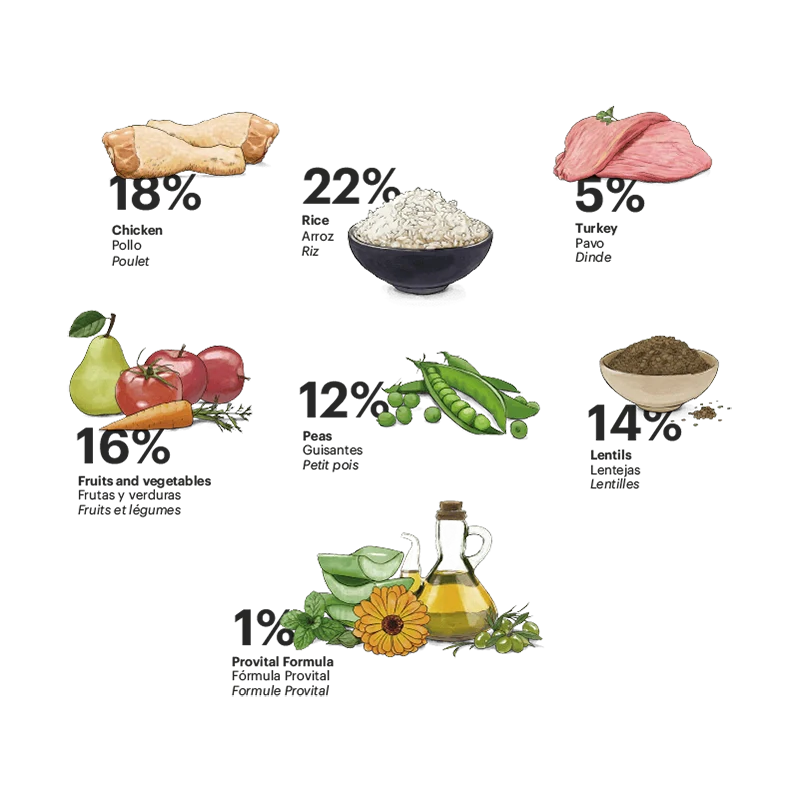 Exclusive Dog Adult Mini Diet - foto 2