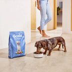 Exclusive Dog Adult Mini Fish - foto 3