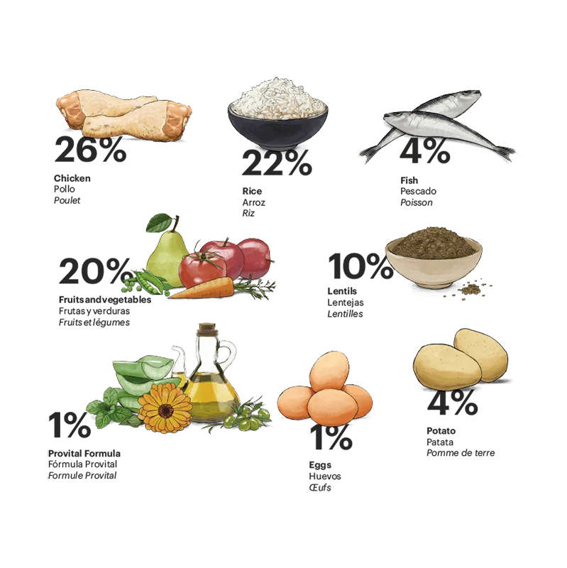 Exclusive Dog Senior Medium Chicken - foto 2