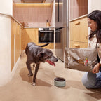 Exclusive Dog Senior Medium Chicken - foto 3