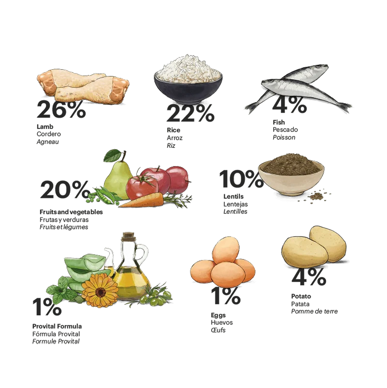 Exclusive Dog Senior Mini Chicken - foto 2