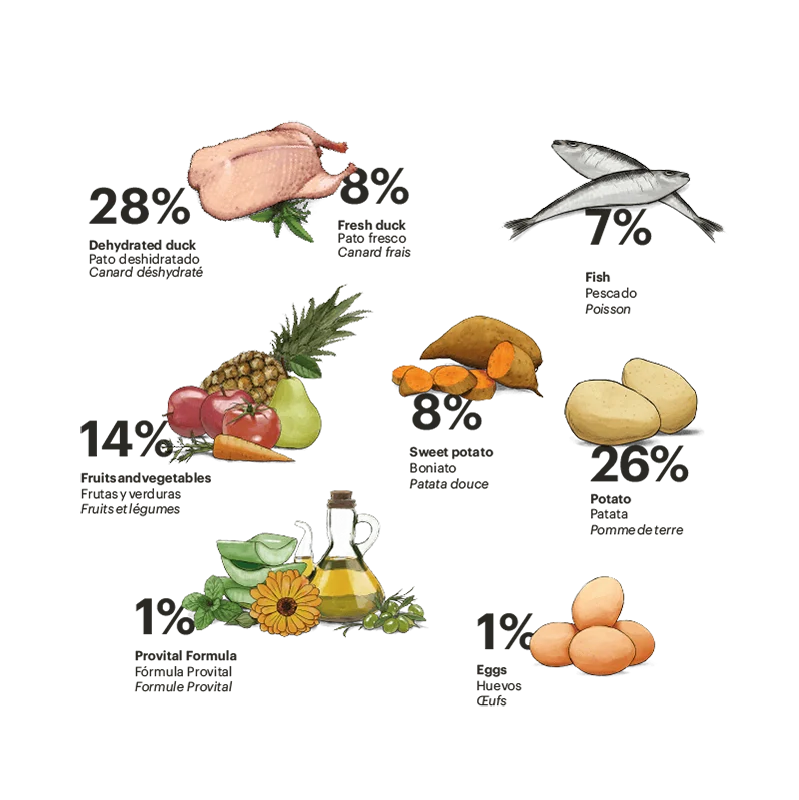 Exclusive Grain Free Dog Adult Medium Duck - foto 2