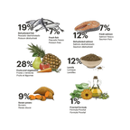 Exclusive Grain Free Dog Adult Medium Fish - foto 2