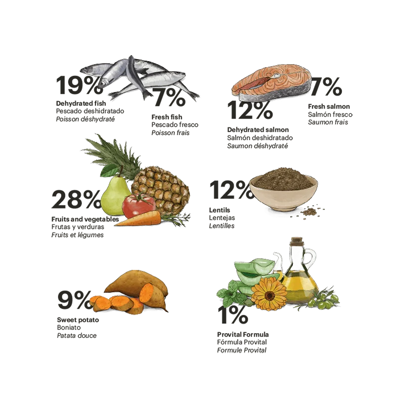 Exclusive Grain Free Dog Adult Medium Fish - foto 2