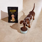 Exclusive Grain Free Dog Adult Toy Duck - foto 3