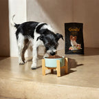 Exclusive Grain Free Dog Adult Toy Fish - foto 3