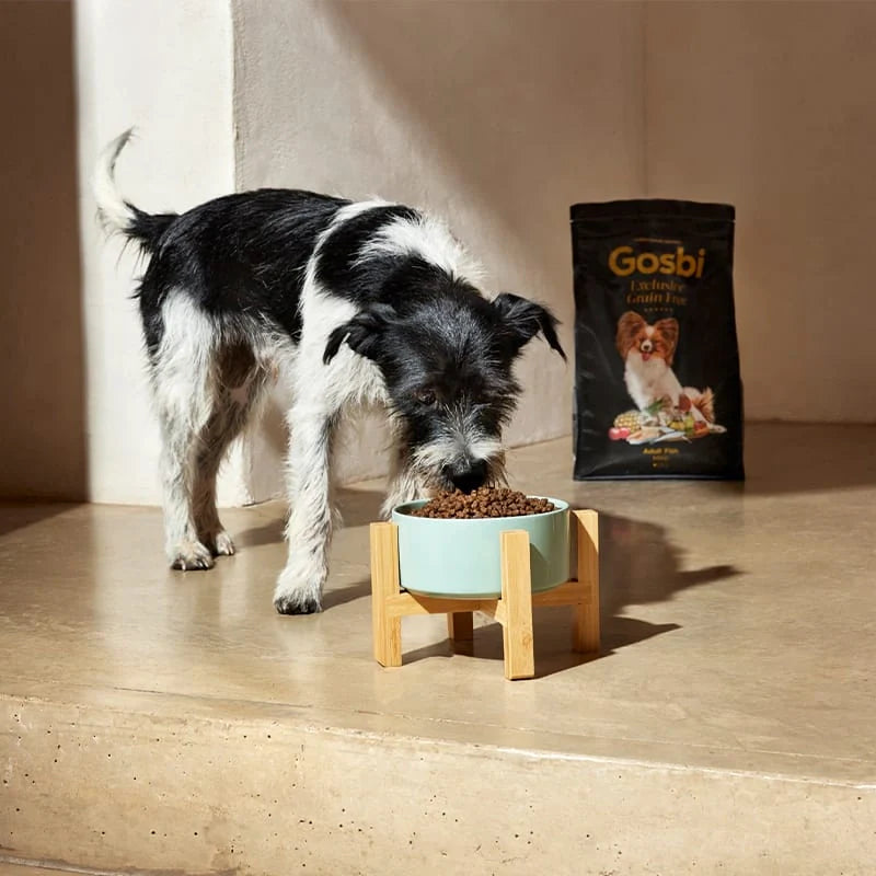 Exclusive Grain Free Dog Adult Toy Fish - foto 3