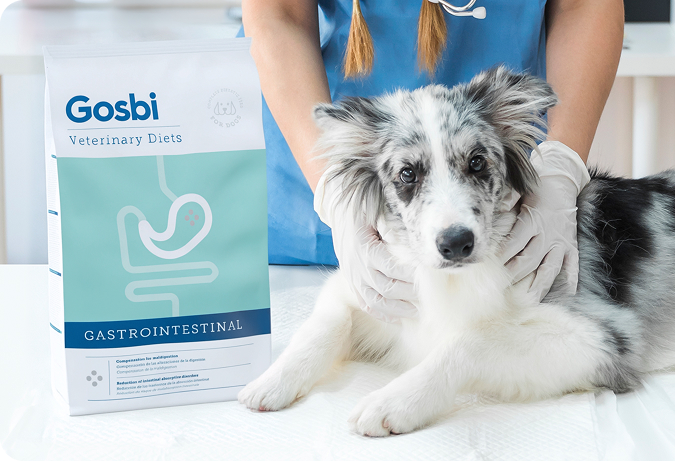 Vetsbi