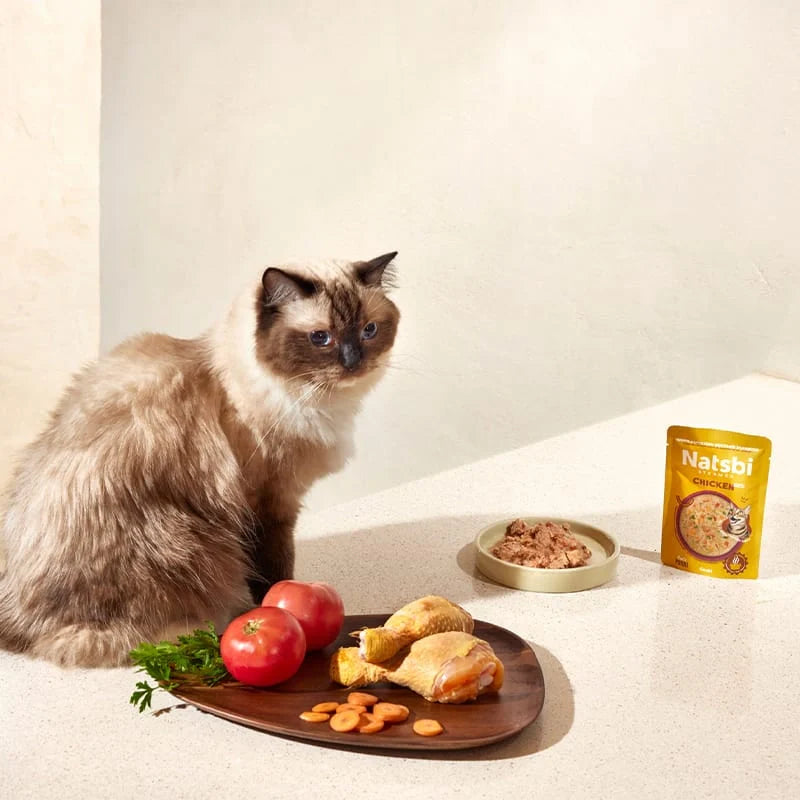 Steamed Gravy Cat Chicken - foto 3