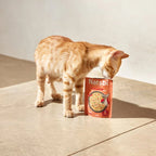 Steamed Gravy Cat Salmon - foto 3