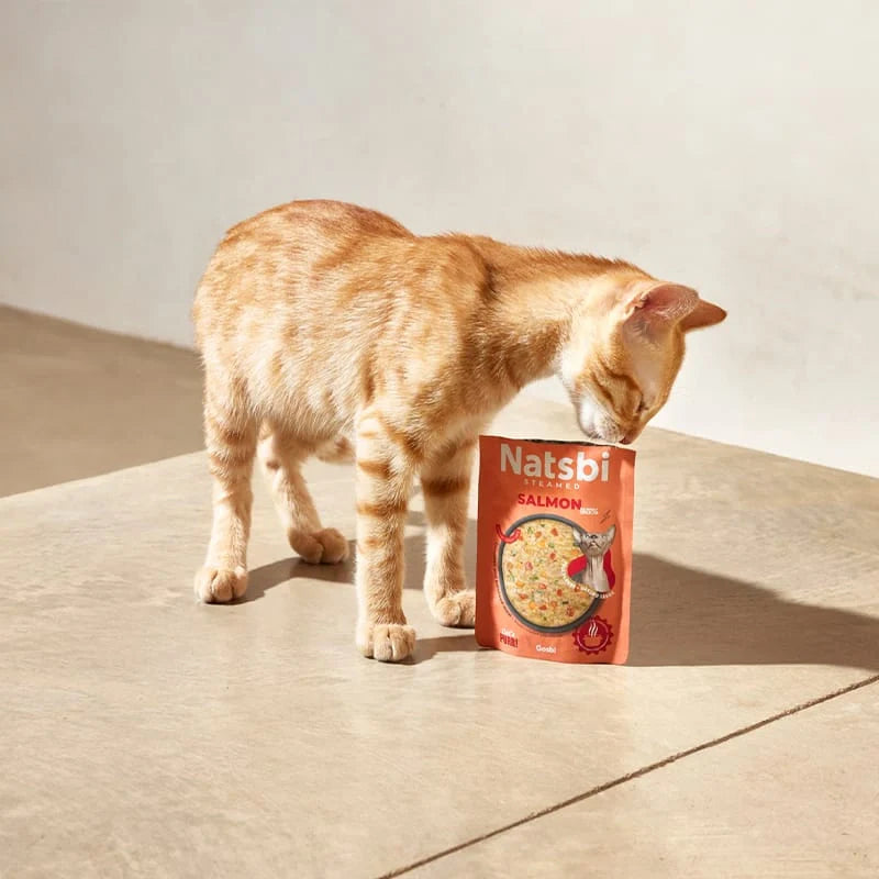 Steamed Gravy Cat Salmon - foto 3